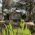 Palombaggia Location I Pini Vecchio Campingplatz Porto-Vecchio (Corsica)