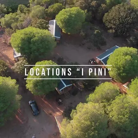 Palombaggia Location I Pini Vecchio Camping