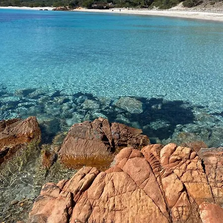 Palombaggia Location I Pini Vecchio Camping Porto-Vecchio (Corsica)
