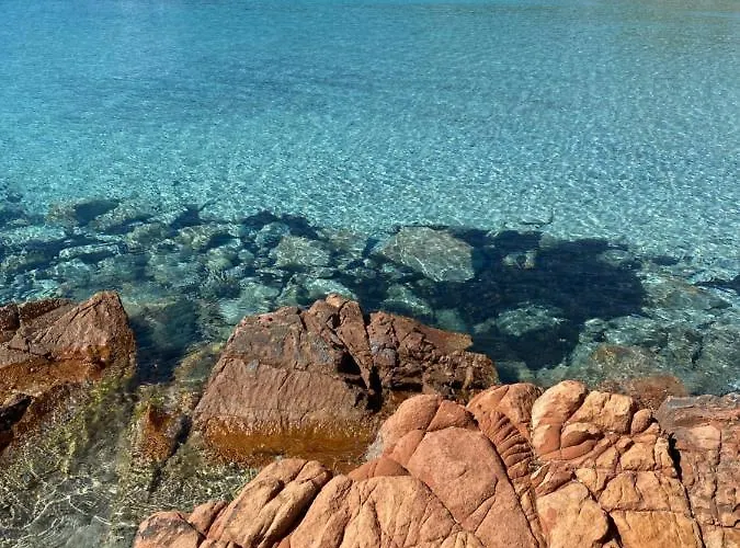 Palombaggia Location I Pini Vecchio Parque de Campismo Porto-Vecchio (Corsica)