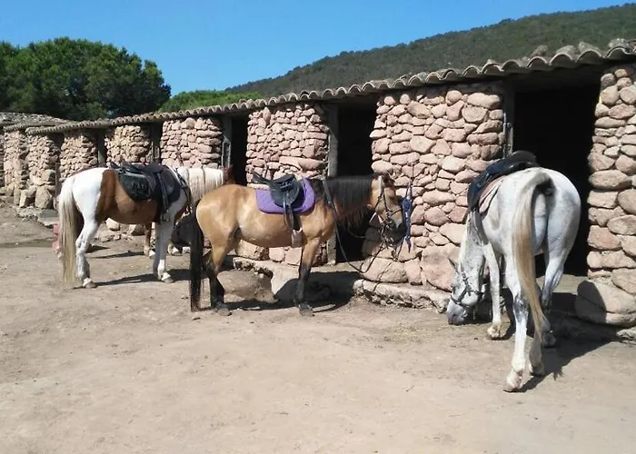 Palombaggia Location I Pini Vecchio *